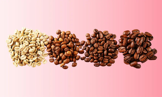 What does "Filter Roast" mean?